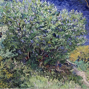 Lilac Bush, 1889. Artist: Vincent van Gogh
