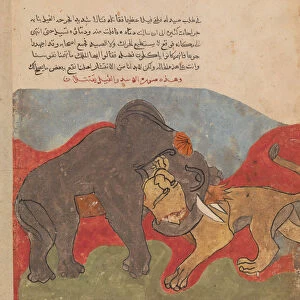 The Lion and the Elephant Fighting, Folio from a Kalila wa Dimna, 18th century
