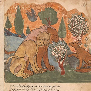 The Lion king, With his Mother, Receives Dimna, Folio from a Kalila wa Dimna
