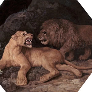 Lion and Lioness, 1770. Creator: George Stubbs