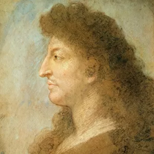 Louis XIV, King of France (1638-1715), ca 1678. Creator: Le Brun, Charles (1619-1690)