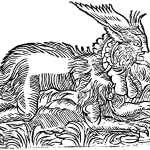 Lycanthropy: forest demon captured in Germany in 1531 (1669)