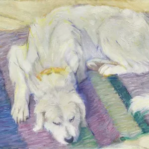 Lying dog (Dog Portrait of Russi'), 1909. Creator: Marc; Franz (1880-1916)