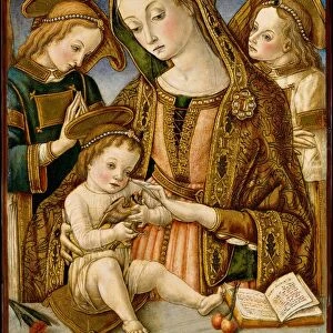 Madonna and Child with Two Angels, ca. 1481-82. Creator: Vittore Crivelli