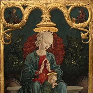 Madonna and Child in a Garden, c. 1460 / 1470. Creator: CosmeTura
