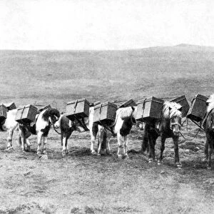 A mail caravan crossing the Icelandic plains, Iceland, 1922