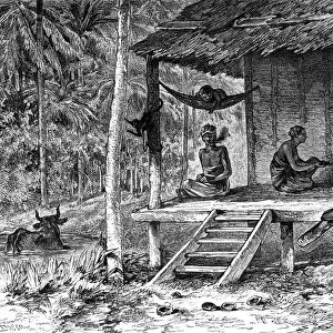 Malaysian hut, 19th century. Artist: Dosso