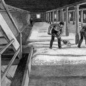 Malting floor in an American brewery, 1885