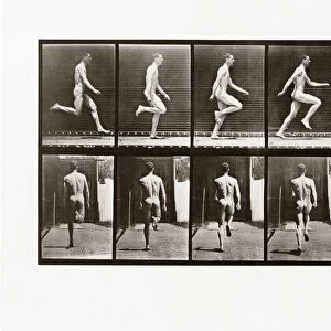 Man running, Plate 65 from Animal Locomotion, 1887 (photograph)