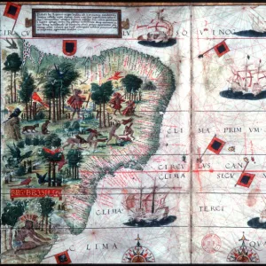 Map of Brazil by Portuguese navigators Pedro Reinel and Lopo Homen, c1525. Artist: Pedro Reinel