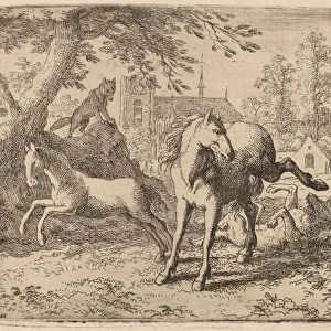 The Mare and the Wolf, probably c. 1645 / 1656. Creator: Allart van Everdingen