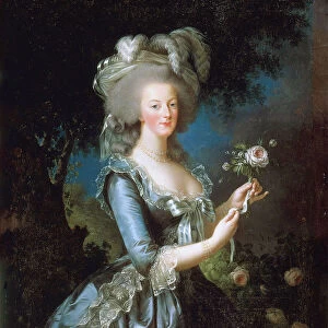 Marie Antoinette a la Rose, 1783