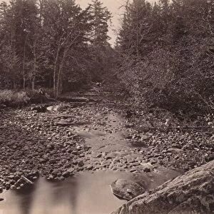 Marion River at Bassetts Camp, c. 1885. Creator: Seneca Ray Stoddard