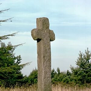 Mauley Cross