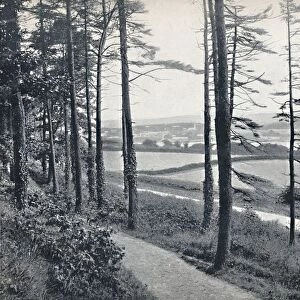 Menai - From Bangor Wood, 1895