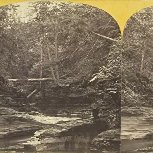 Six Mile Creek, Ithaca, N. Y. View in Ravine above Green Tree Fall, 1860 / 65. Creator: J. C