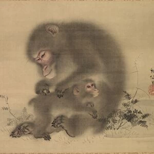 Monkeys, late 18th-early 19th century. Creator: Mori Sosen (Japanese, 1747-1821)