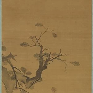 Monkeys on a Rock Ledge, 1615-1868. Creator: Mori Sosen (Japanese, 1747-1821)