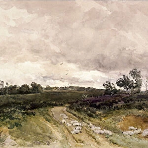 Moorland Scene, 1878. Artist: Thomas Collier
