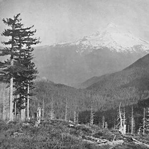 Mount Hood, Oregon, c1897. Creator: Unknown
