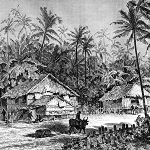 Negritos, Malaysia, 19th century. Artist: Dosso