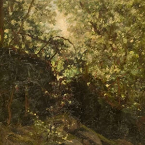 Night Through Forest, 1889. Creator: Louis Michel Eilshemius