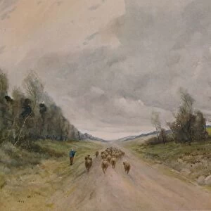On a Northumberland Road, 20th century, (1935). Artist: Robert J Hewitt