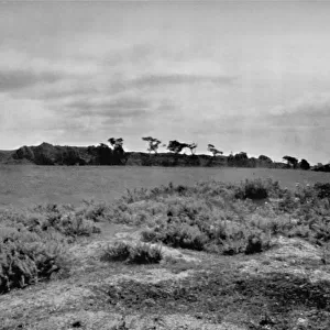 Offas Dyke crossing a hill top, in Denbighshire, Wales, 1935