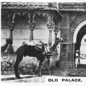 Old Palace, Palitana, India, c1925