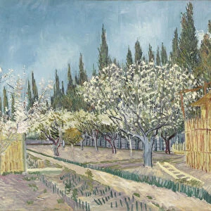 Orchard bordered by cypresses, 1888