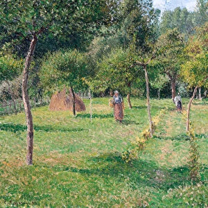 The Orchard at Eragny, 1896. Artist: Pissarro, Camille (1830-1903)