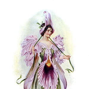 The Orchid, 1899