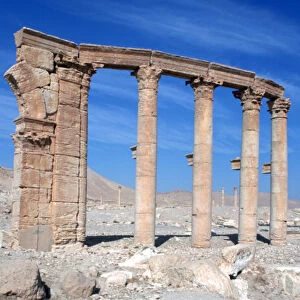 The Oval Piazza, Palmyra, Syria