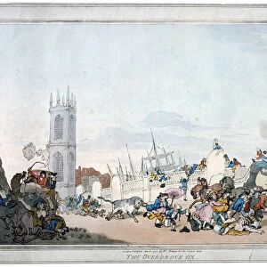The Overdrove ox, 1790