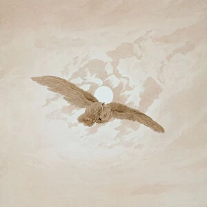 Owl Flying against a Moonlit Sky, 1836-1837. Artist: Caspar David Friedrich