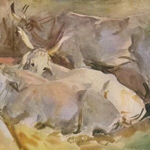 Oxen at Siena, c1910, (1936). Creator: John Singer Sargent
