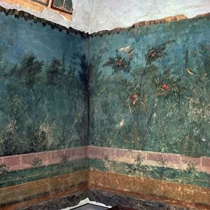Painted room from Livias villa, 1st century BC
