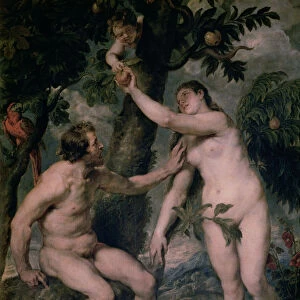 Painting by Peter Paul Rubens (1577 - 1640) Adam and Eve, copy of Titians painting