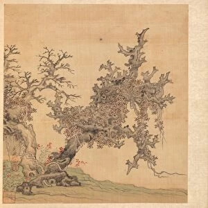 Paintings after Ancient Masters: An Ancient Tree, 1598-1652. Creator: Chen Hongshou (Chinese