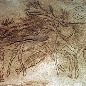 Paleolithic engraved bone with reindeer