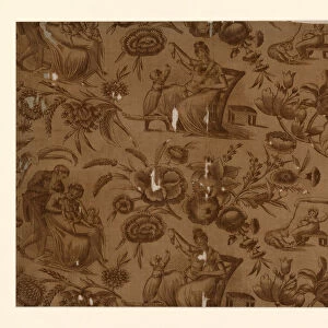 Panel (Furnishing Fabric), England, 1801 / 25. Creator: Unknown
