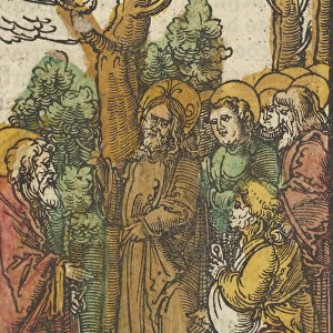The Parable of the Sower and the Weeds, from Das Plenarium, 1517