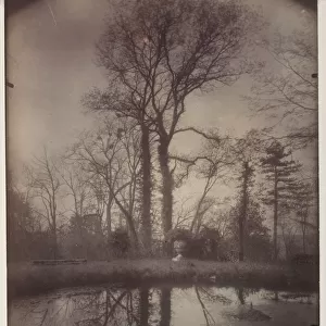 The Park at Sceaux [April 1925, 7a. m. ], 1925. Creator: Eugene Atget (French, 1857-1927)