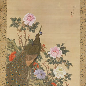 Peacocks and Peonies, 1820. Creator: Tani Buncho