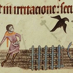 Peasants ploughing (From the Luttrell Psalter), ca 1330. Artist: Anonymous