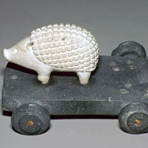 Persian hedgehog mounted on a wheeled carriage