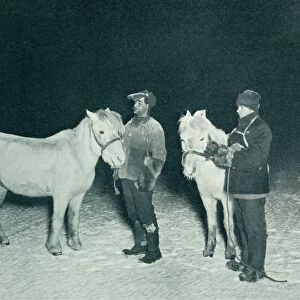 Petty Officers Crean and Evans Exercising Their Ponies in the Winter, 1911, (1913)