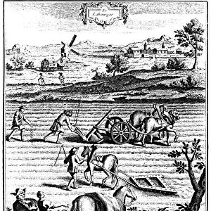 Ploughing and harrowing with horses and sowing seed broadcast, 1762