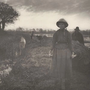 Poling the Marsh Hay, 1886. Creator: Dr Peter Henry Emerson