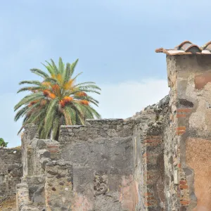 Pompeii, Campania, Naples, Italy, 2015. Creator: Luis Rosendo